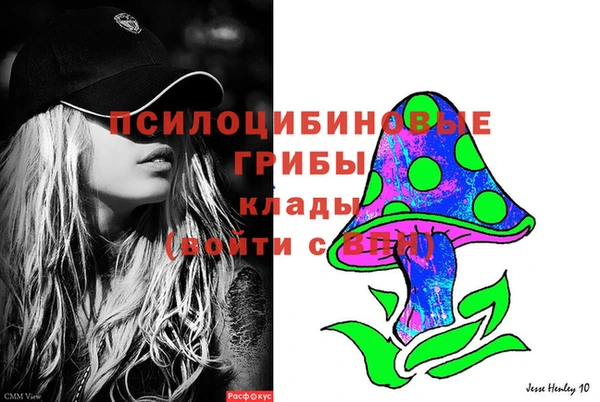 Альфа ПВП Гусев