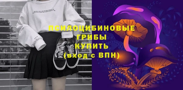 Альфа ПВП Гусев