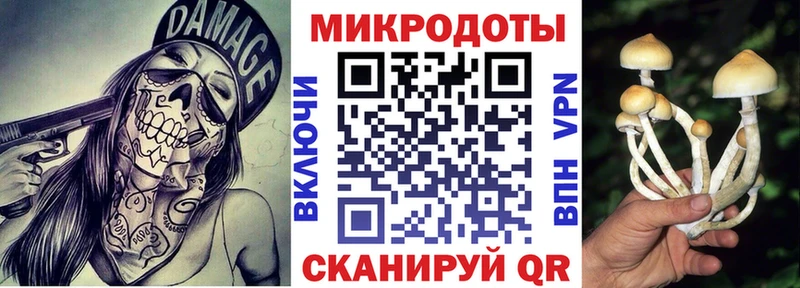 как найти   Тюмень  Галлюциногенные грибы ЛСД 
